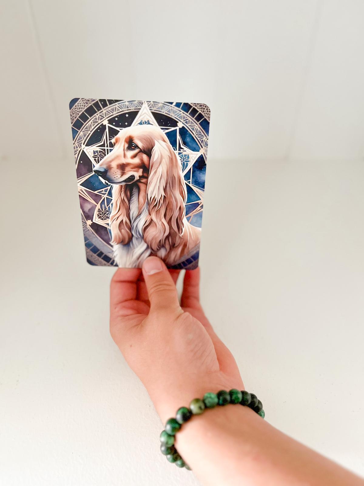 Spirit Dog Oracle Deck